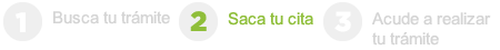 2do paso: saca tu cita
